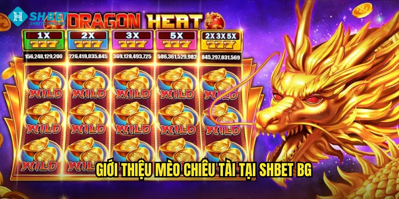 Giới thiệu Mèo chiêu tài tại shbet bg