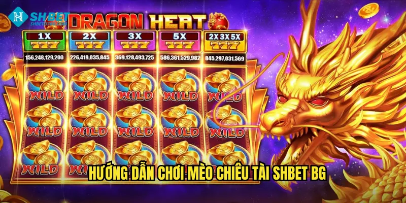 Hướng dẫn chơi Mèo chiêu tài shbet bg